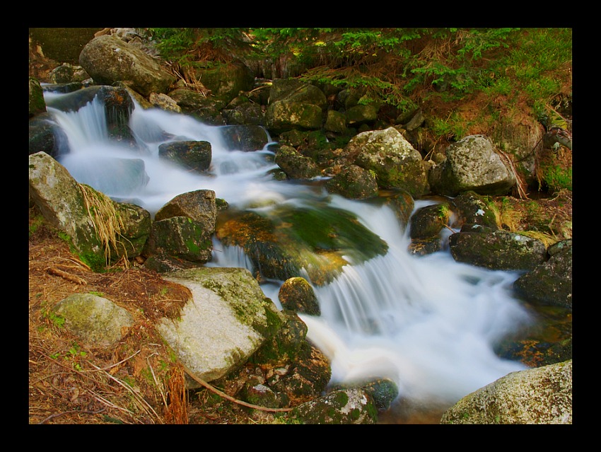 Karkonoskie strumyki