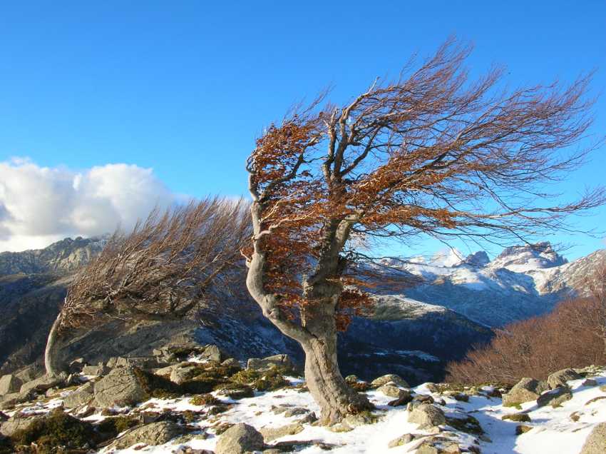 Col de San Petru