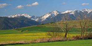 wiosenne Tatry (4)