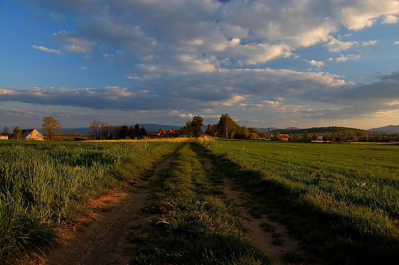 gdzieś w polu