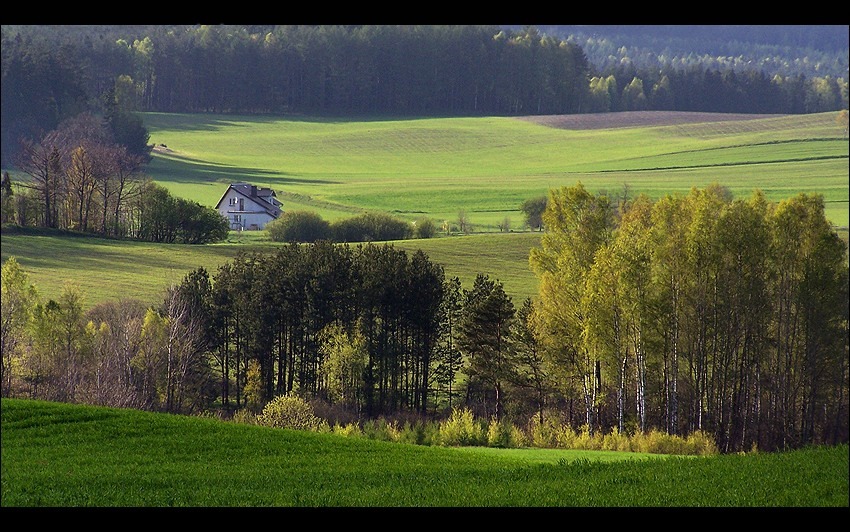 domek na Kaszubach(maj)