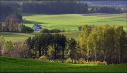 domek na Kaszubach(maj)