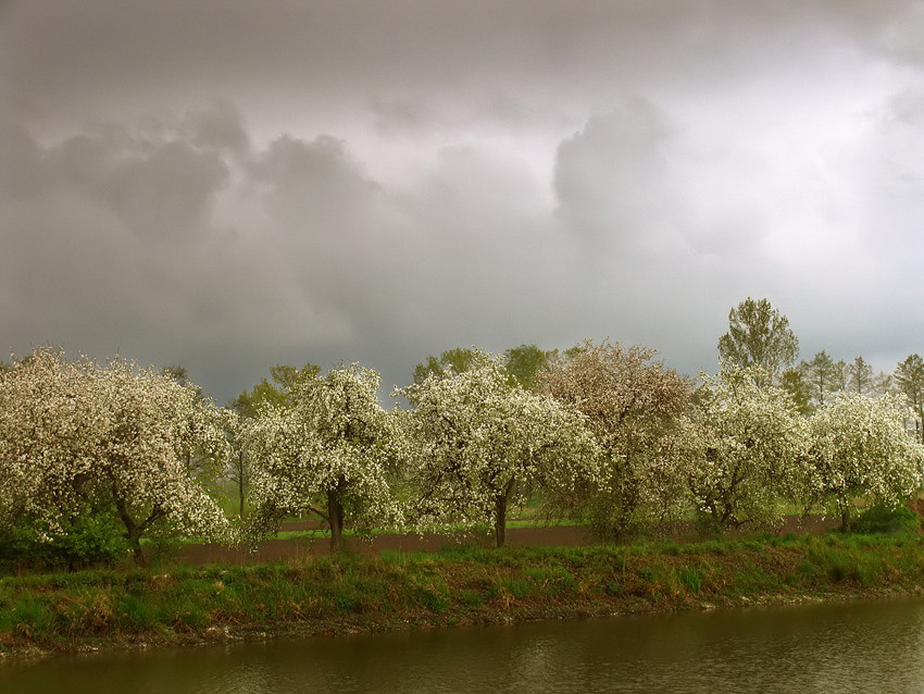 Przed wiosenną burzą