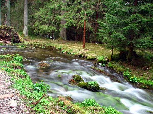 TATRY