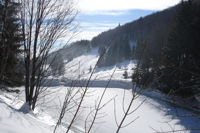 Frozen Pond