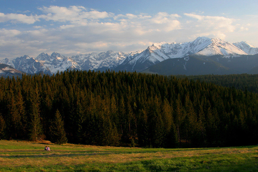 wiosenne Tatry (5)