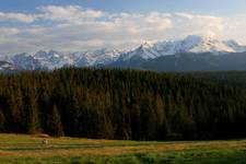 wiosenne Tatry (5)