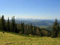 Gdzie spojrzeć, tam Tatry ...