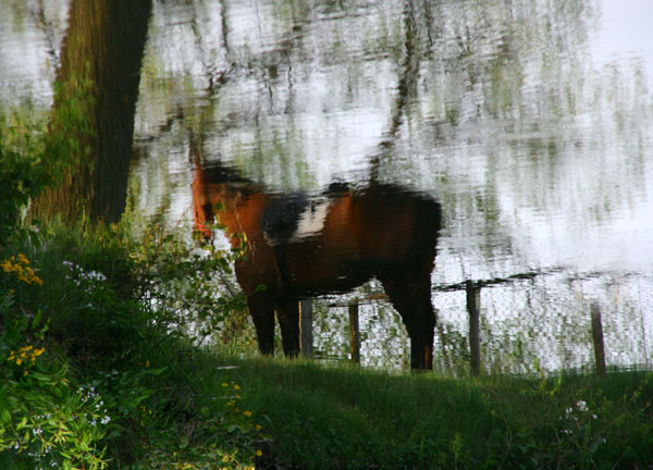 nad rzeką 2