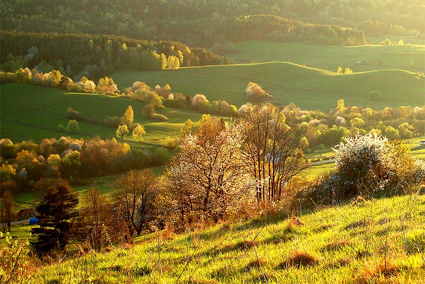 Wiosna w Bieszczadach