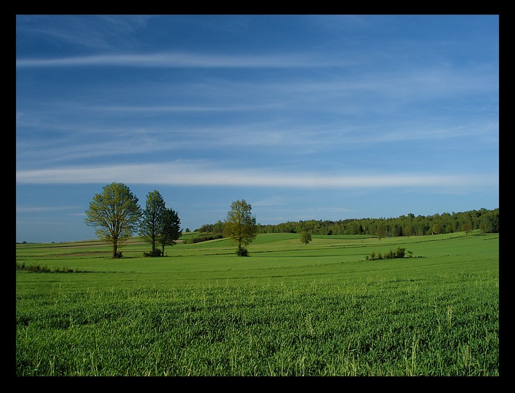 Wiosny ciąg dalszy