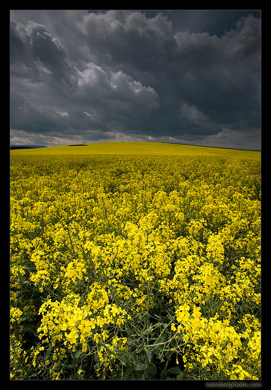 Burzowa Polska