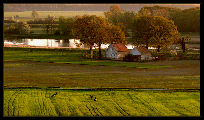 gdzieś nad Odrą