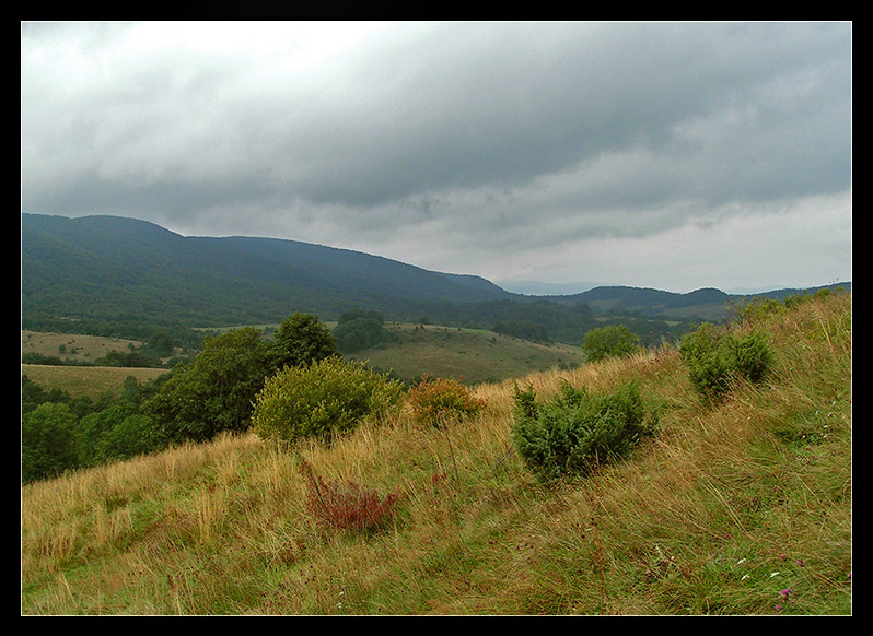 Bieszczady