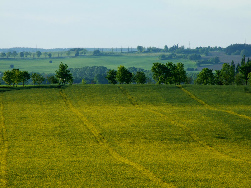 Spojrzeć w dal