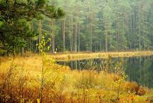 Wigierski Park Narodowy-Suchar