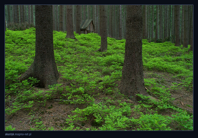 beskid