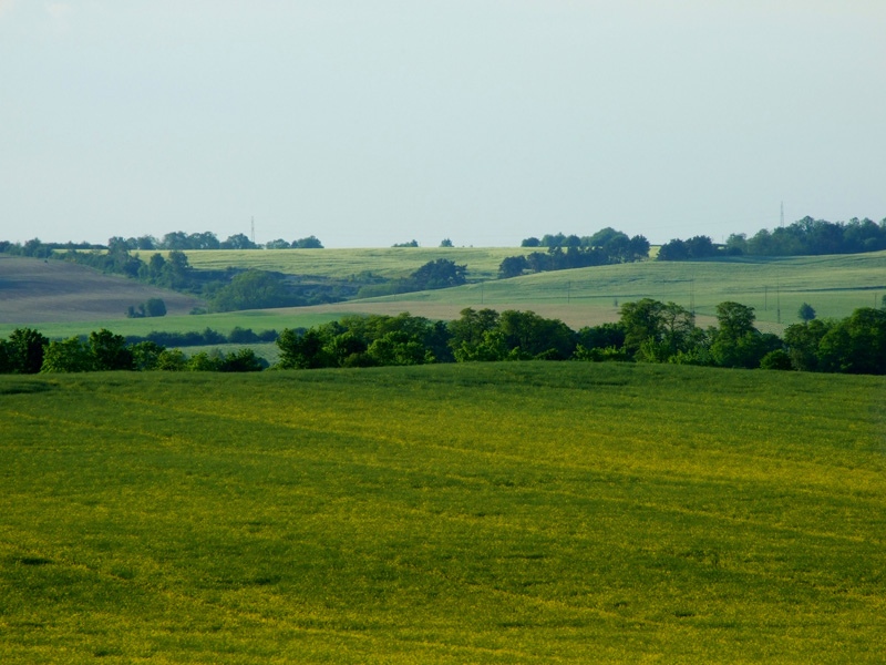 Spojrzeć w dal 2