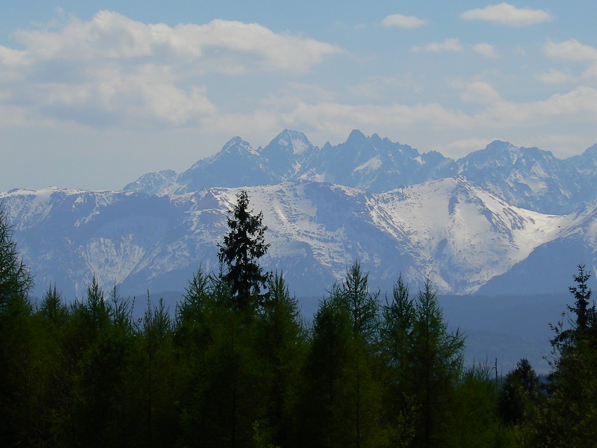 Tatry z Pienin