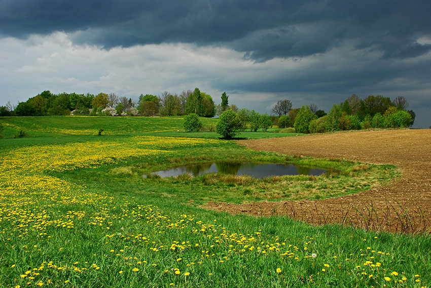 pod chmurnym niebem