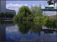 Mały Dock pomiędzy Poplar a East India