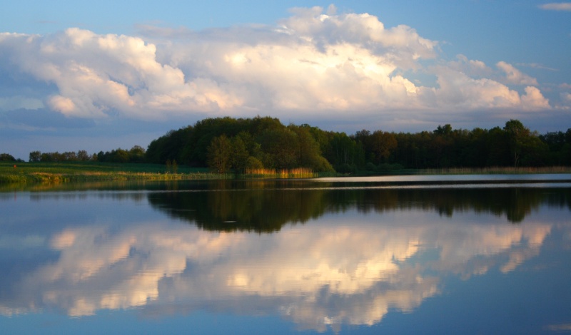 Wysoczyzna elbląska