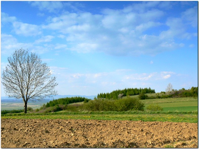 kawałek beskidzkiej ziemi