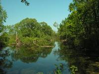 Biebrzański Park Narodowy