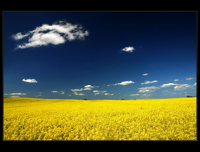 Windows XP Service Pack IV - Okolice wioski Wełtyń - maj 2007