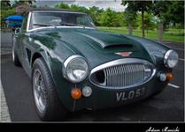 Austin Healey