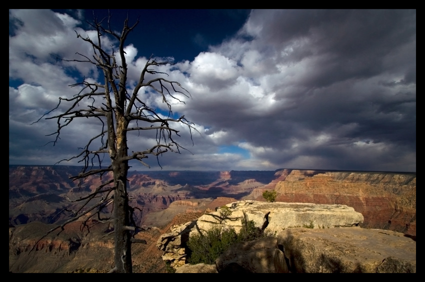 Grand Canyon - widok z Grandview Point