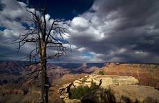 Grand Canyon - widok z Grandview Point