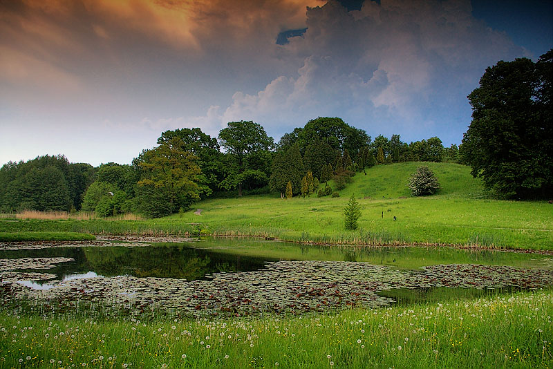 Ogród Botaniczny Myślęcinek