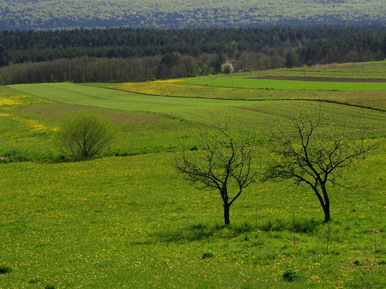 Wiosna w Świętokrzyskim