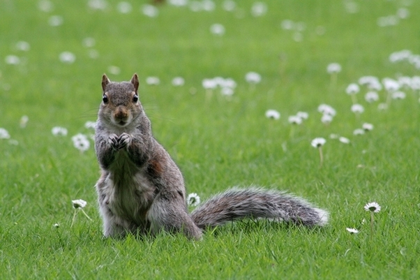 Abbey Park