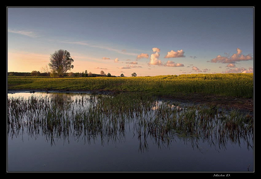 wieczorny view