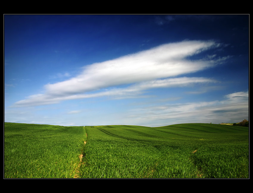 Windows XP SP. V