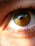 my eye :::...