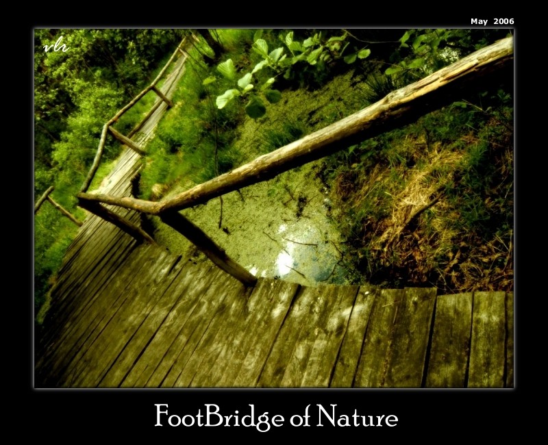 FootBridge of Nature