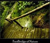 FootBridge of Nature