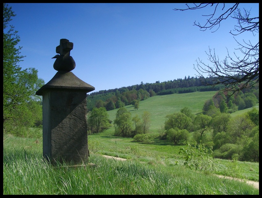 ...beskid zielony (2)