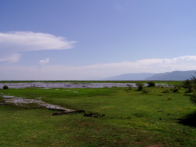 Manyara