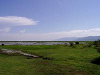 Manyara