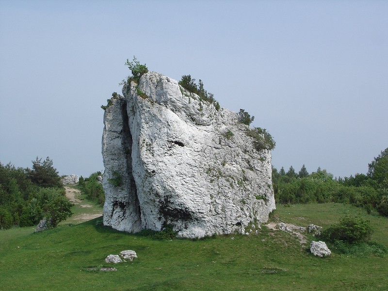 jurajskie klimaty ( 2 )