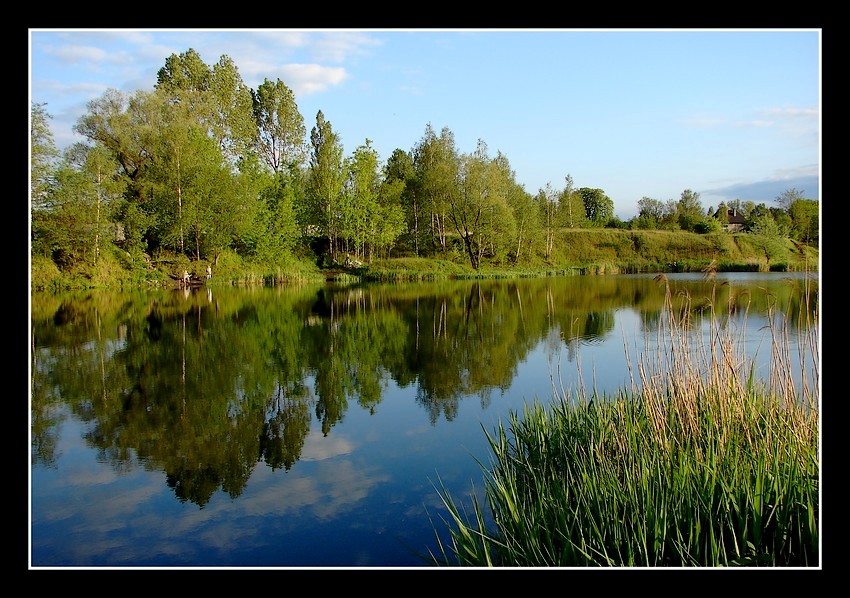 Zwykły staw