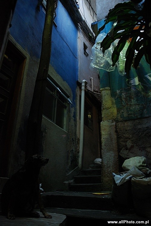 Favela Vila Canoas, Rio de Janeiro