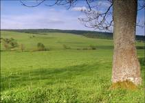 ...beskid zielony (3)