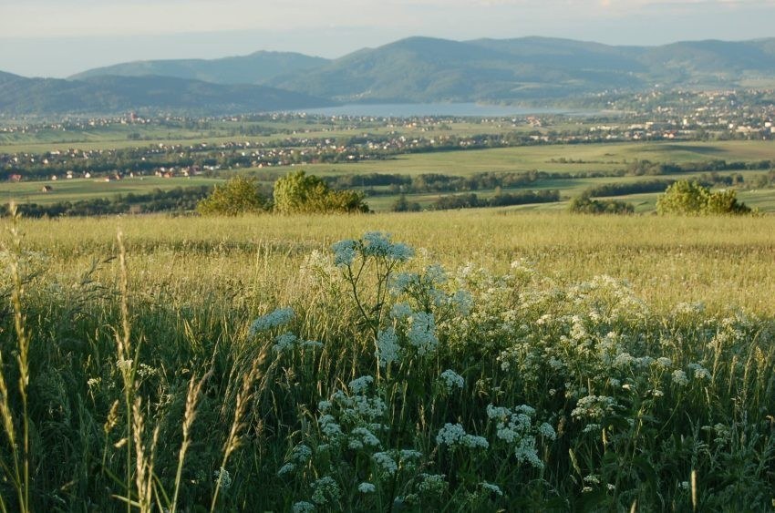 Wieje wiatr, pachnie wiosną i wiesz,....