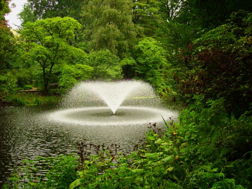 Ogród botaniczny we Wrocławiu