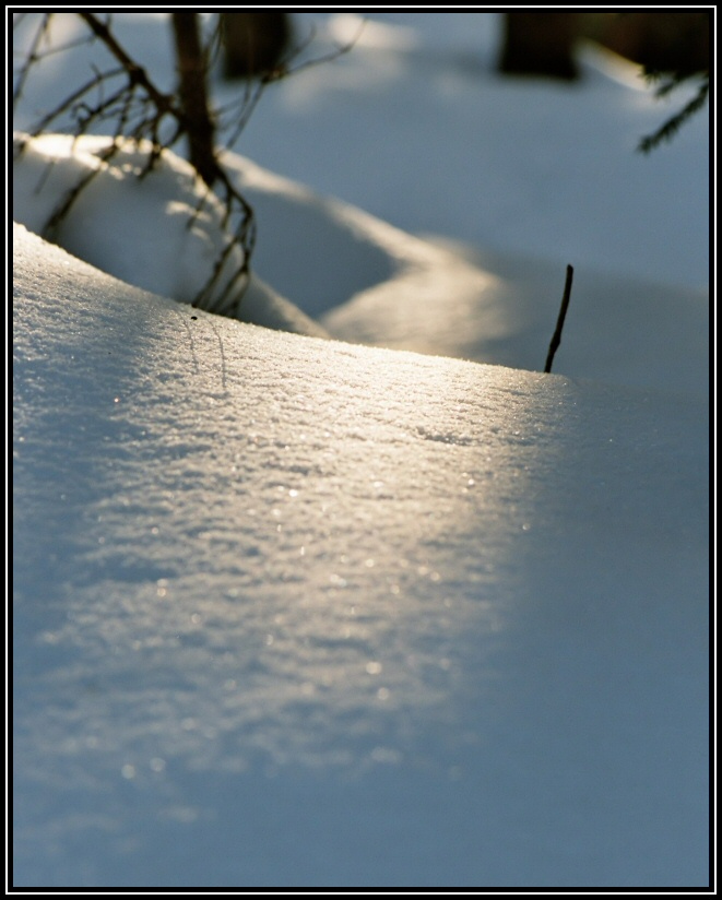 Patyczek i lody